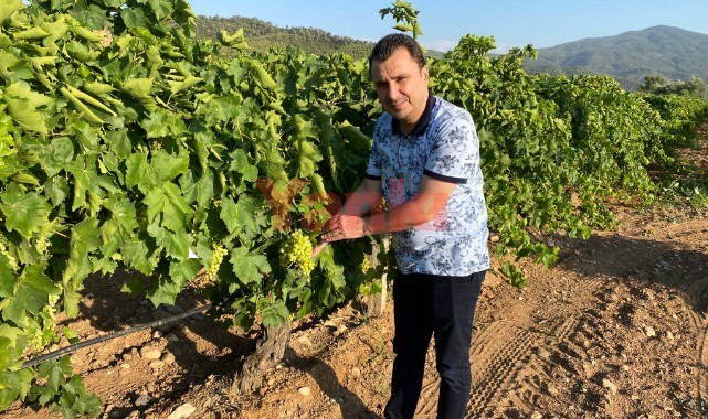'Kuru üzüm fiyatı 25 liranın altında olmamalı'