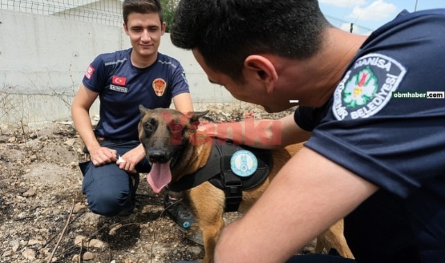 Orman yangınlarının çıkış noktasını ‘Tarzan’ bulacak
