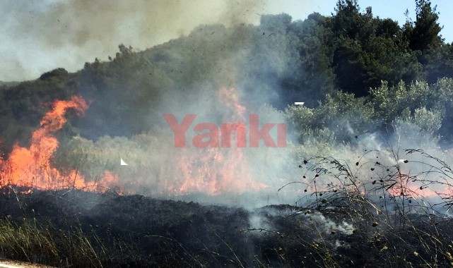 Otluk alanda çıkan yangın zamanında müdahaleyle söndürüldü