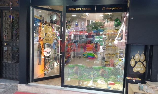 Pet shoptaki papağanları çaldığı öne sürülen şüpheli tutuklandı