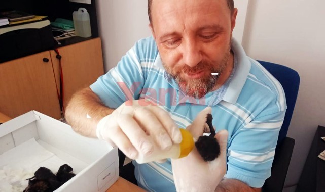 Alkışlar Manisalı Şans Emekli'ye