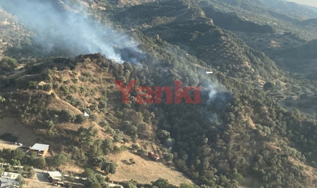 Avşar'da ormanlık alandaki yangın büyümeden söndürüldü