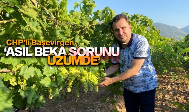 Başevirgen: ' Asıl beka sorunu üzümde'