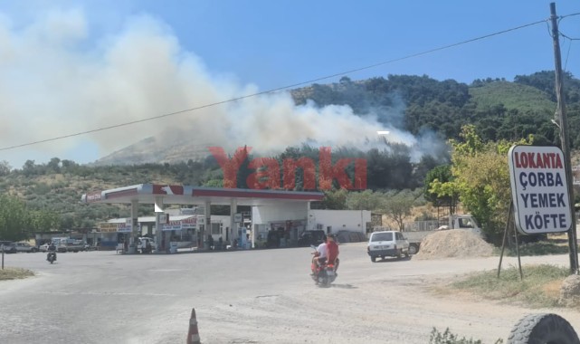 Manisa’da aynı anda 2 ilçede orman yangını!