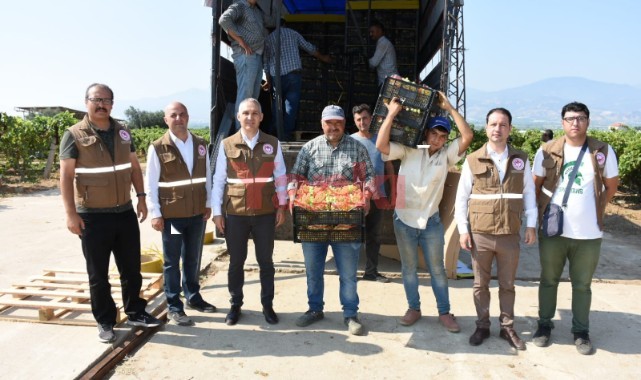 Sofralık sultani çekirdeksiz üzümün ihracat yolculuğu başladı