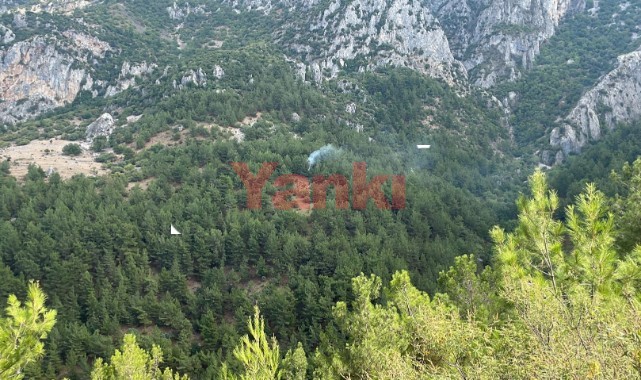 Spil Dağı'ndaki yangın büyümeden söndürüldü