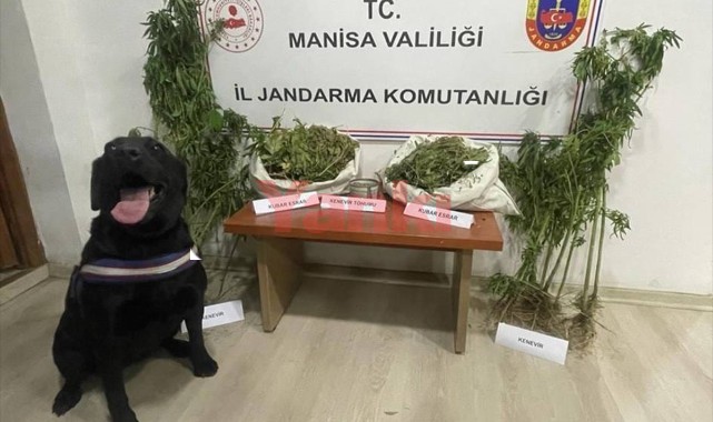 Uyuşturucu operasyonunda 2 kişi yakalandı