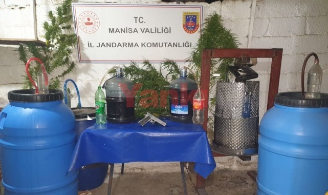 Evde kenevir bitkisi ve şarap ele geçirildi
