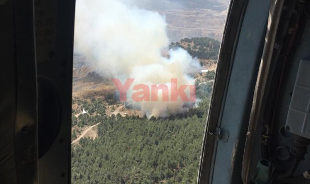 Soma'da orman yangını