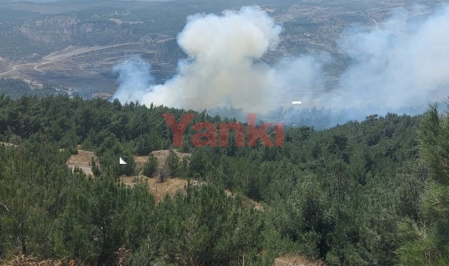 Soma'da yangınla mücadele devam ediyor! Bir mahalle boşaltıldı