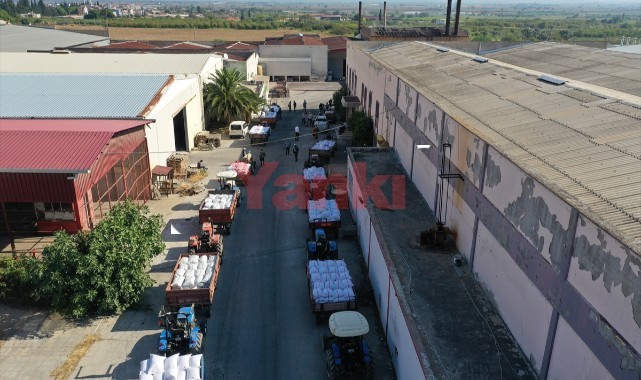 TMO, Manisa'da çekirdeksiz kuru üzüm alımına başladı