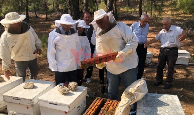Kanatlı ve Arıcılık Daire Başkanı Köse Manisa'da incelemelerde bulundu