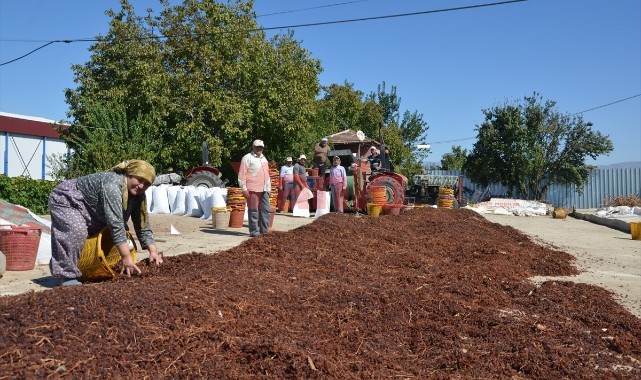Kuru üzüm ihracatında hedef 500 milyon doları aşmak