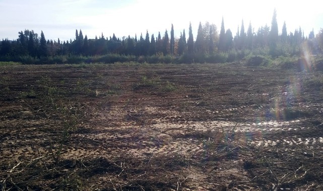 Büyükşehir, Turgutlu'da yeni mezarlık alanı istimlak etti