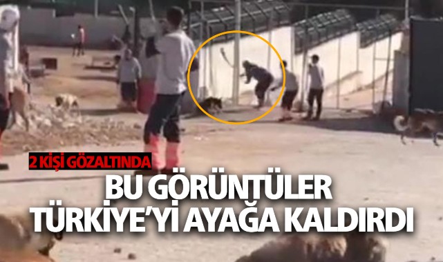 Kürekle vurup öldürdükten sonra iple sürükleyip götürdüler