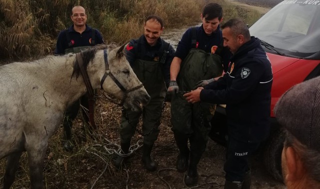 Dereye Düşen At Büyükşehir İtfaiye Tarafından Kurtarıldı