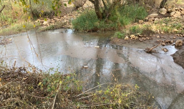 "Gediz Nehri göz göre göre ölüme terk edildi"