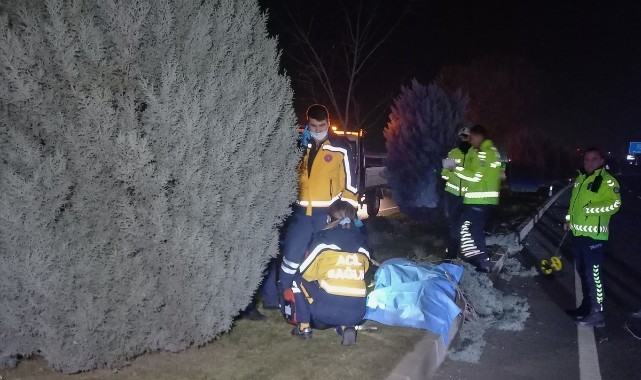 Hafif ticari aracın çarptığı yaya öldü