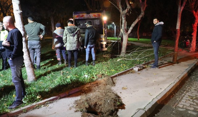 Manisa'da ağaca çarpan çöp kamyonunun sürücü yaralandı