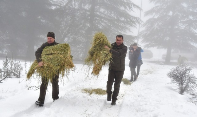 Spil Dağı Milli Parkı'na yaban hayvanları için yem bırakıldı