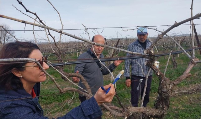 Manisa Üzüm Platformu'ndan arazi kontrolü ve çiftçi ziyaretleri