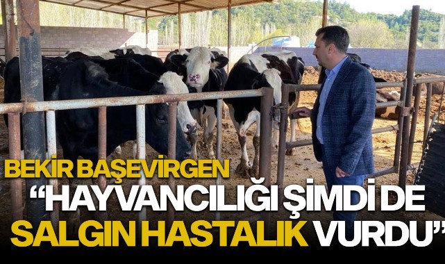 "Hayvancılığı Şimdi de Salgın Hastalık Vurdu"