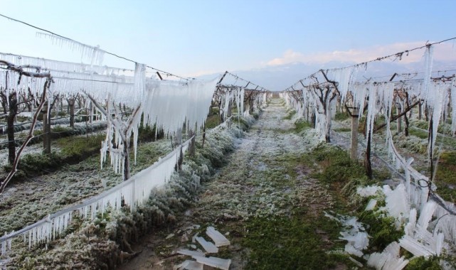 Manisa'ya kuvvetli yağış, fırtına ve don uyarısı