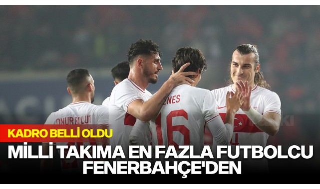 Milli takıma en fazla futbolcu Fenerbahçe'den