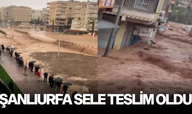 Şanlıurfa'da sağanak yağış sele neden oldu