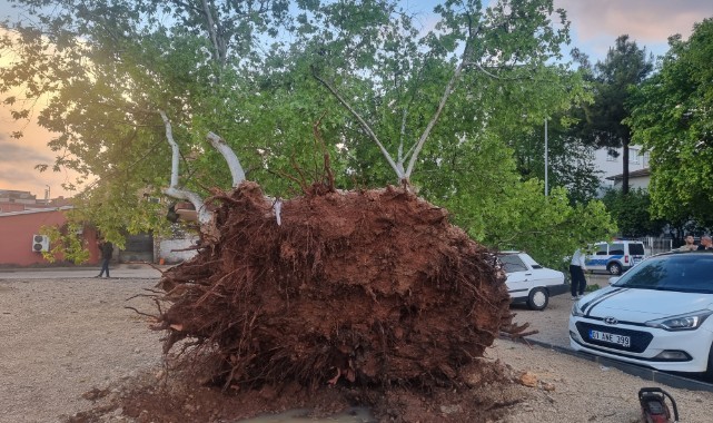 10 dakikalık yağış ağacı devirdi, dereleri taşırdı 