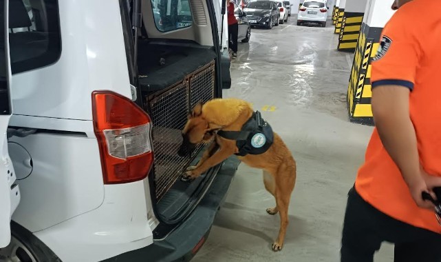 Bomba Arama Köpeği 'Niobe' Göreve Hazır