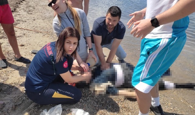 Denize giren yaşlı kadın boğuldu    