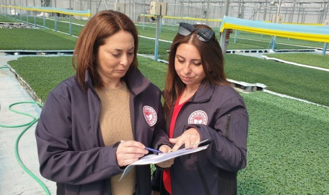 Fideler toprakla buluşmaya hazırlanıyor!