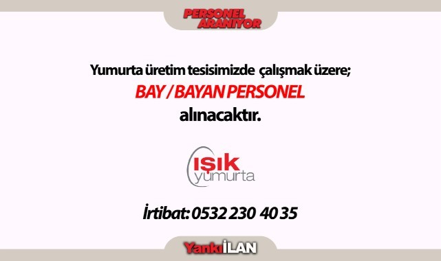 Işık Yumurtada Çalışmak Üzere...