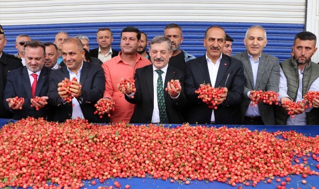 Manisa'da sezonun ilk kirazı, kilogramı 800 liradan satıldı
