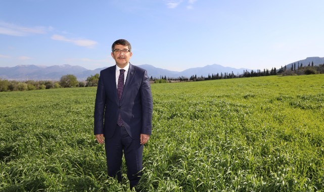 Manisa şehzadeler  Belediyesinin buğdayları ihtiyaç sahiplerine un olacak