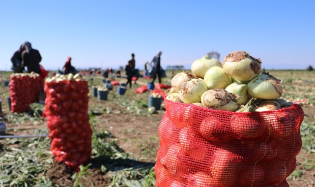 Merkez Bankası: "Gıda fiyatları tarihsel eğilimin üzerinde arttı"   
