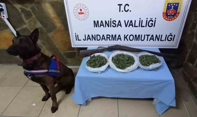 Salihli ve Kula'da uyuşturucu operasyonu