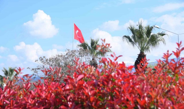 Çiçekler rengarenk görüntüleriyle çevreye güzellik katıyor