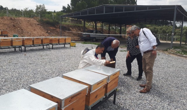 Ana Arı Üretim Merkezinde üretilen arılar teslime hazır