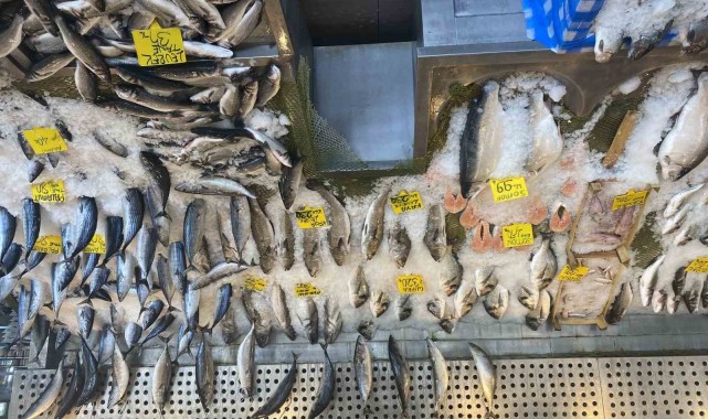 Balık fiyatları düştü, Karadeniz somonu 300 yerine 100 liradan satılıyor