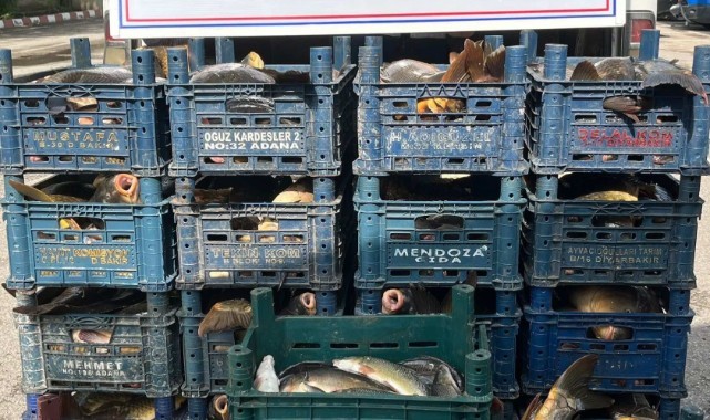 Elazığ’da kaçak avlanan 1 ton 400 kilo balık ele geçirildi