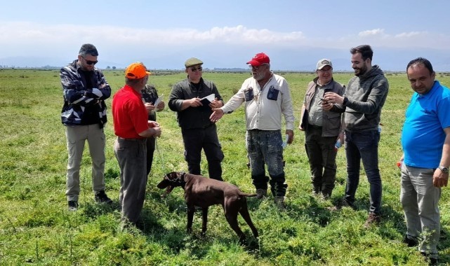Fermalı av köpekleri Salihli’de yarıştı