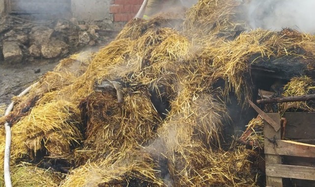 Hayvan damında yangın çıktı, onlarca küçükbaş hayvan kurtarıldı   