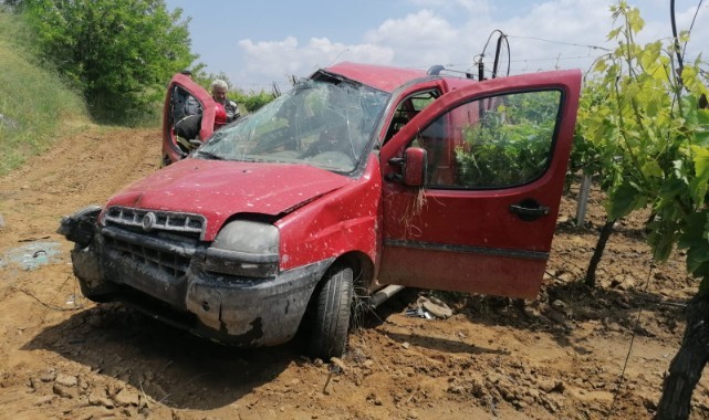 Kontrolden çıkan ticari araç üzüm bağına düştü: 2 yaralı