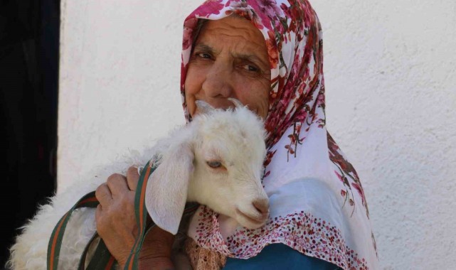 Kuzusuna bebek gibi bakıyor, yanından hiç ayırmıyor