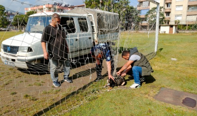 Manisa'da köpeğin imdadına ekipler yetişti 