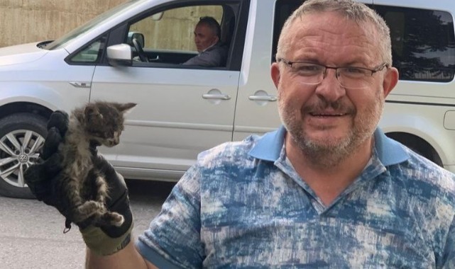 Manisa’da sürücünün dikkati yavru kediyi kurtardı