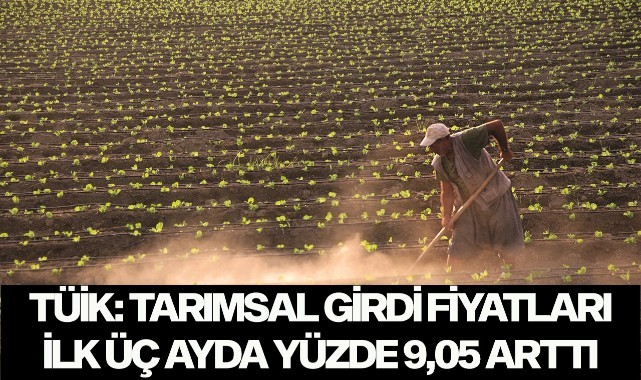 TÜİK: TARIMSAL GİRDİ FİYATLARI İLK ÜÇ AYDA YÜZDE 9,05 ARTTI