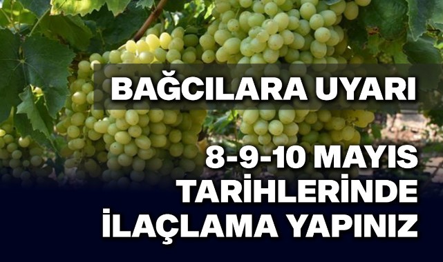 Turgutlulu bağcılara uyarı!